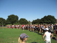 3_stanford003