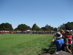 3_stanford005