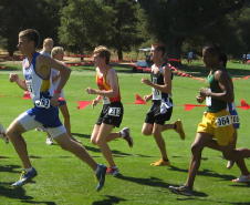 3_stanford006