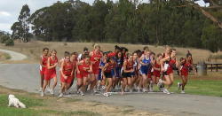 4_league_meet_1004