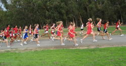 4_league_meet_1005