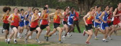 4_league_meet_1035