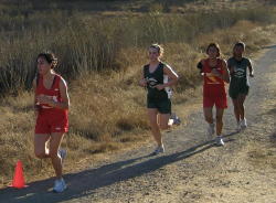 5_league_meet_2036
