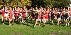 8_league_meet_4024