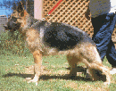 Photo of Bosta Nova