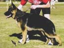 Photo of Overmaster