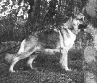 photo of Felita