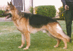 Picture of Mohr Ace
