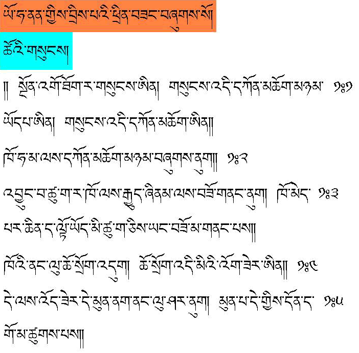 argumentative essay in dzongkha
