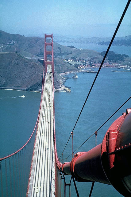The massive cables.