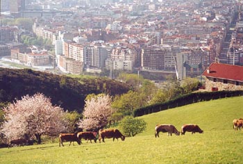 Bilbo hiria eta bere 700. urteurrena >>>