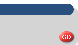 Professional web design