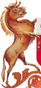 wildebeest supporter in the arms of the Cape Colony