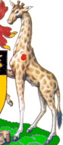giraffe supporter in the 1912 arms of Grahamstown