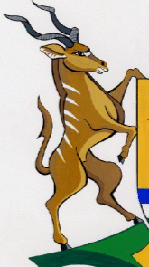 kudu supporter from the arms of Mpumalanga