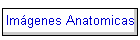 Imgenes Anatomicas