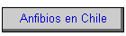 Anfibios en Chile