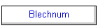 Blechnum