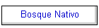 Bosque Nativo
