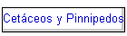 Cetceos y Pinnipedos