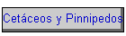 Cetceos y Pinnipedos