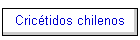 Crictidos chilenos
