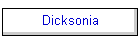 Dicksonia