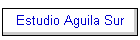 Estudio Aguila Sur