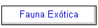 Fauna Extica