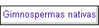 Gimnospermas nativas