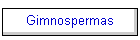 Gimnospermas