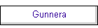 Gunnera