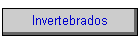 Invertebrados