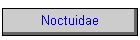 Noctuidae