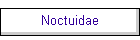 Noctuidae