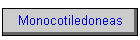 Monocotiledoneas