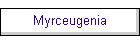 Myrceugenia