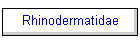 Rhinodermatidae