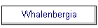 Whalenbergia