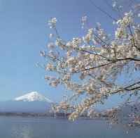 Fuji-san