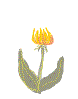 flowanim.gif (4204 bytes)
