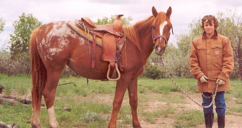 young boy with 1.5 year old colt