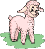 little pink lamb