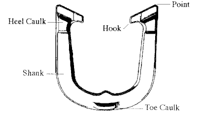 Horseshoe Nomenclature