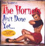 Tom Sanders & the Hornets - Ain't Done Yet