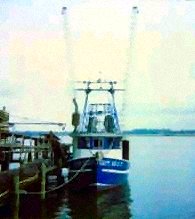 Bay Marina Company Panama City, FL