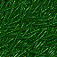 grass picture