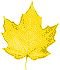 leaf picture