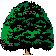 tree picture