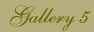 Gallery5